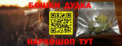 индика Усть-Джегута
