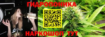 крисы Усть-Илимск
